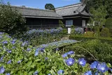 豪商の館田中本家博物館