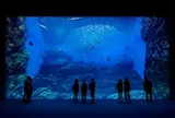 水族館🐠仙台うみの杜水族館