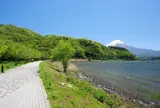河口湖北岸ウォーキングトレイル