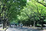 駒沢オリンピック公園