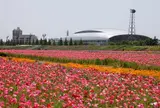 馬入ふれあい公園