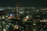 東京都庁展望室
