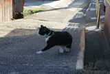 島内の集落を探検しよう