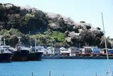 市内最古の公園、「愛宕山公園」を散策
