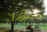 代々木公園