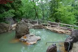 湯元白金温泉ホテル