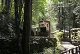 赤沢自然休養林でトロッコ列車を