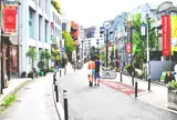 キャットストリート