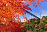 竜神大吊橋
