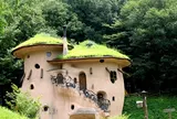 フィンランドの森