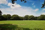 代々木公園