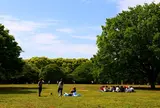 代々木公園
