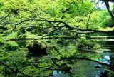 山吹水源