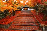 安楽寺