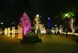 アメリカ山公園