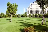お台場レインボー公園