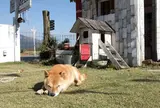 ガレット