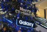 ラシックのクリスマスツリー