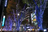 大津通のイルミネーション