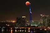 福岡タワー