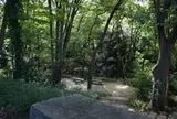 等々力渓谷公園
