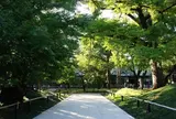 九品仏浄真寺のサギソウ園