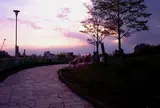 西郷山公園