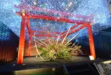 羽田空港 国際線旅客ターミナル