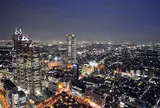 東京都庁展望室