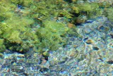 白川水源