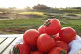 【食体験】フレッシュグループ淡路島