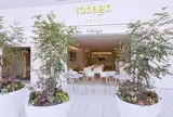 tobago café&bar