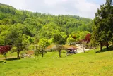 上砂川岳日本庭園