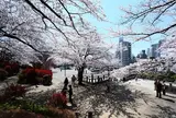 飛鳥山公園