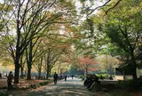日比谷公園