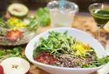 Ann Wigmore Natural Health Institute Tokyo Shop