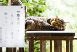 梅宮大社
