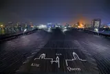 横浜港大さん橋国際客船ターミナル（大さん橋）