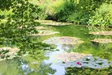 北川村「モネの庭」マルモッタン