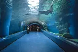 エプソンアクアパーク品川 (EPSON AQUA PARK SHINAGAWA)