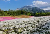 羊山公園