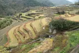 中山千枚田