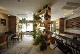 salocafe