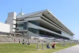 京都競馬場