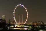 Singapore Flyer