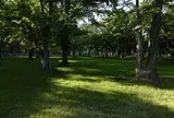 北海道大学