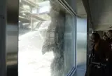 のぼりべつクマ牧場