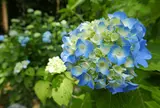 21世紀の森公園