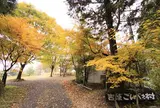 吉原ごんべえ村 キャンプ場