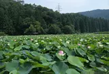 花はす公園